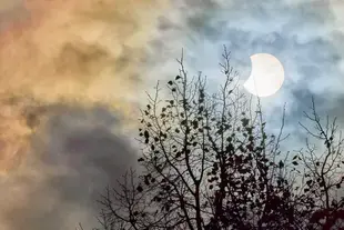 Partial solar eclipse October 25, 2022