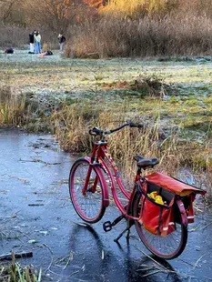 Vondelpark, December 2022, Amsterdam