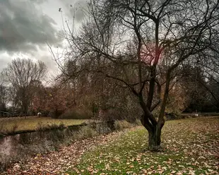 "Colour, less colour ..." in Beatrixpark
