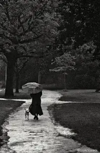 Facing the rain. Vondelpark, Amsterdam