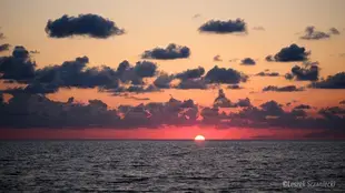 Black Sea