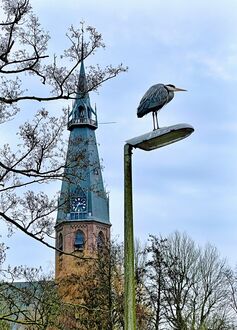 The Heron and St. Urbanuskerk van Bovenkerk tower. Amstelveen.