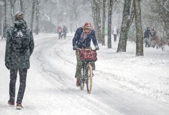 Winter 2021 in Vondelpark