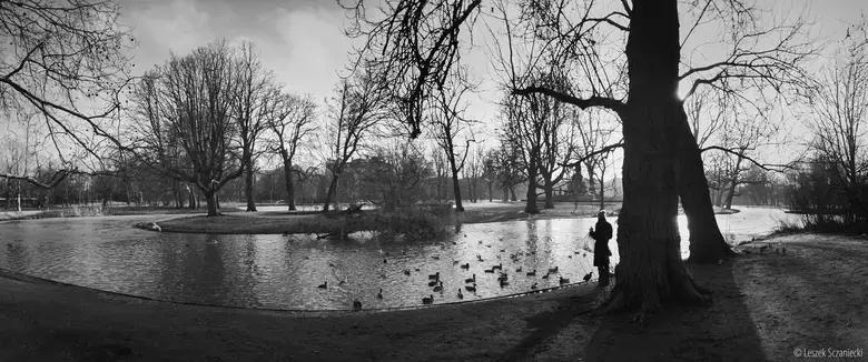 Feeding birds in the Vondelpark